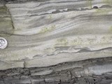 図：偽礫
